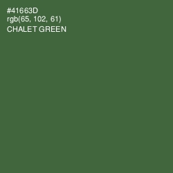 #41663D - Chalet Green Color Image